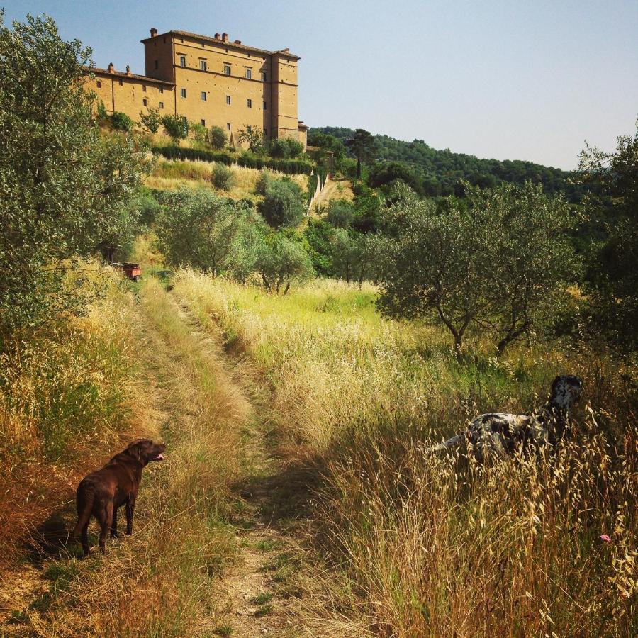 Castello Di Potentino Seggiano Esterno foto