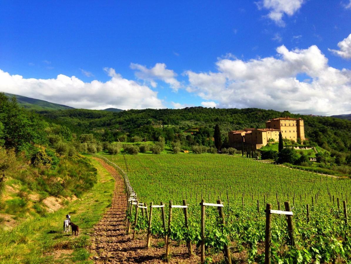 Castello Di Potentino Villa Seggiano Esterno foto